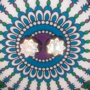 Mother of Pearl and Saba Wood Plugs